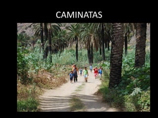 CAMINATAS