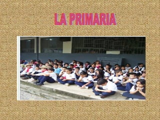LA PRIMARIA 