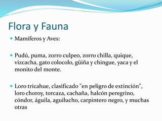 Flora y Fauna
 Mamíferos y Aves:
 Pudú, puma, zorro culpeo, zorro chilla, quique,
vizcacha, gato colocolo, güiña y chingue, yaca y el
monito del monte.
 Loro tricahue, clasificado "en peligro de extinción",
loro choroy, torcaza, cachaña, halcón peregrino,
cóndor, águila, aguilucho, carpintero negro, y muchas
otras
 