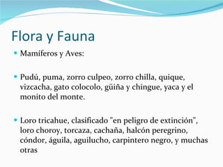 Flora y Fauna Mamíferos y Aves: Pudú, puma, zorro culpeo, zorro chilla, quique, vizcacha, gato colocolo, güiña y chingue, yaca y el monito del monte. Loro tricahue, clasificado "en peligro de extinción", loro choroy, torcaza, cachaña, halcón peregrino, cóndor, águila, aguilucho, carpintero negro, y muchas otras 
