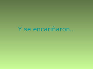 Y se encariñaron…