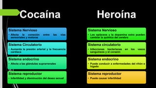 Cocaína
Sistema Nervioso
• Afecta la conexión entre las vías
sensoriales y motoras
Sistema Circulatorio
• Aumenta la presión arterial y la frecuencia
cardiaca
Sistema endocrino
• Afecta a las glándulas suprarrenales
Sistema reproductor
• Infertilidad y disminución del deseo sexual
Heroína
Sistema Nervioso
• Los opiáceos y la dopamina extra pueden
cambiar la química del cerebro
Sistema circulatorio
• Infecciones bacterianas en los vasos
sanguíneos y el corazón
Sistema endocrino
• Puede conducir a enfermedades del riñón e
hígado
Sistema reproductor
• Puede causar infertilidad