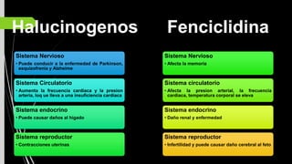 Halucinogenos
Sistema Nervioso
• Puede conducir a la enfermedad de Parkinson,
esquizofrenia y Alzheime
Sistema Circulatorio
• Aumenta la frecuencia cardiaca y la presion
arteria, loq ue lleva a una insuficiencia cardiaca
Sistema endocrino
• Puede causar daños al hígado
Sistema reproductor
• Contracciones uterinas
Fenciclidina
Sistema Nervioso
• Afecta la memoria
Sistema circulatorio
• Afecta la presion arterial, la frecuencia
cardiaca, temperatura corporal se eleva
Sistema endocrino
• Daño renal y enfermedad
Sistema reproductor
• Infertilidad y puede causar daño cerebral al feto
