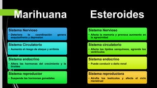 Marihuana
Sistema Nervioso
• Deteriora la coordinación genera
esquizofrenia y depresion
Sistema Circulatorio
• Aumenta el riesgo de ataque y arritmia
Sistema endocrino
• Altera las hormonas del crecimiento y la
tiroides
Sistema reproductor
• Suspende las hormonas gonadales
Esteroides
Sistema Nervioso
• Afecta la memoria y provoca aunmento en
la agresividad
Sistema circulatorio
• Afecta los lipidos sanquineos, agranda los
ventriculos
Sistema endocrino
• Puede conducir a daño renal
Sistema reproductora
• Atrofia los testiculos y afecta el ciclo
menstrual