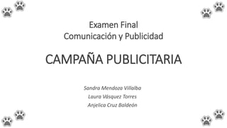 Examen Final
Comunicación y Publicidad
Sandra Mendoza Villalba
Laura Vásquez Torres
Anjelica Cruz Baldeón
CAMPAÑA PUBLICITARIA
 
