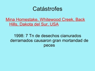 Catástrofes
Mina Homestake, Whitewood Creek, Back
 Hills, Dakota del Sur, USA

    1998: 7 Tn de desechos cianurados
  derramados causaron gran mortandad de
                   peces
 