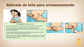 Retirada do leite para armazenamento
 