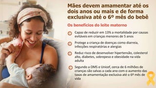Mães devem amamentar até os
dois anos ou mais e de forma
exclusiva até o 6º mês do bebê
Os benefícios do leite materno
Capaz de reduzir em 13% a mortalidade por causas
evitáveis em crianças menores de 5 anos
Protege a criança de doenças como diarreia,
infecções respiratórias e alergias
Reduz risco de desenvolver hipertensão, colesterol
alto, diabetes, sobrepeso e obesidade na vida
adulta
Segundo a OMS e Unicef, cerca de 6 milhões de
crianças são salvas a cada ano com o aumento das
taxas de amamentação exclusiva até o 6º mês de
vida
 