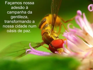 Façamos nossa adesão à campanha da gentileza, transformando a nossa cidade num oásis de paz.   
