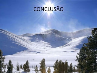 CONCLUSÃO