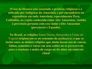 O uso da Hoasca está associado a práticas religiosas e é
utilizada por indígenas da Amazônia e por curandeiros ou
vegetalistas em toda Amazônia, especialmente Peru,
Colômbia, na região conhecida como Alto Amazonas, vizinha
à província peruana com esse nome (Alto Amazonas
(província) e Equador.
No Brasil, as religiões Santo Daime, Barquinha e União do
Vegetal originaram-se no consumo da ayahuasca, o que as
inclui entre as muitas religiões que ainda fazem uso de cascas,
folhas, sementes e raízes em seus cultos ou as prescrevem
para o combate a males do corpo ou da alma em contexto
ritual

 