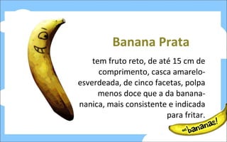 Banana Prata tem fruto reto, de até 15 cm de comprimento, casca amarelo-esverdeada, de cinco facetas, polpa menos doce que a da banana-nanica, mais consistente e indicada para fritar. 