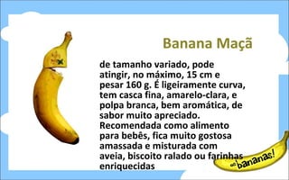 Banana Maçã de tamanho variado, pode atingir, no máximo, 15 cm e pesar 160 g. É ligeiramente curva, tem casca fina, amarelo-clara, e polpa branca, bem aromática, de sabor muito apreciado. Recomendada como alimento para bebês, fica muito gostosa amassada e misturada com aveia, biscoito ralado ou farinhas enriquecidas  
