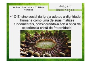 O Ensino social da Igreja adotou a dignidade
humana como uma de suas matizes
fundamentais, considerando-a sob a ótica da
experiência cristã de fraternidade.

 