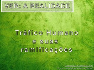 Campanha da Fraternidade 2014
“É para a liberdade que Cristo nos libertou”

 