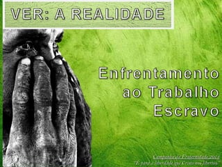 Campanha da Fraternidade 2014
“É para a liberdade que Cristo nos libertou”

 