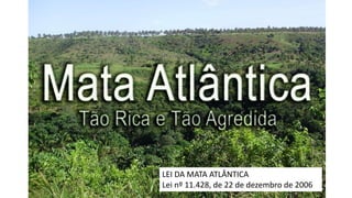 LEI DA MATA ATLÂNTICA
Lei nº 11.428, de 22 de dezembro de 2006
 