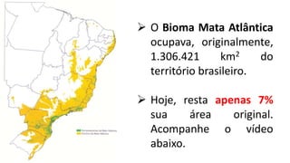  O Bioma Mata Atlântica
ocupava, originalmente,
1.306.421 km2 do
território brasileiro.
 Hoje, resta apenas 7%
sua área original.
Acompanhe o vídeo
abaixo.
 