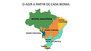 O AGIR A PARTIR DE CADA BIOMA:
 