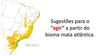 Sugestões para o
“agir” a partir do
bioma mata atlântica.
 