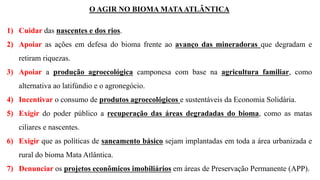 O AGIR NO BIOMA MATAATLÂNTICA
1) Cuidar das nascentes e dos rios.
2) Apoiar as ações em defesa do bioma frente ao avanço das mineradoras que degradam e
retiram riquezas.
3) Apoiar a produção agroecológica camponesa com base na agricultura familiar, como
alternativa ao latifúndio e o agronegócio.
4) Incentivar o consumo de produtos agroecológicos e sustentáveis da Economia Solidária.
5) Exigir do poder público a recuperação das áreas degradadas do bioma, como as matas
ciliares e nascentes.
6) Exigir que as políticas de saneamento básico sejam implantadas em toda a área urbanizada e
rural do bioma Mata Atlântica.
7) Denunciar os projetos econômicos imobiliários em áreas de Preservação Permanente (APP).
 