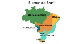 Biomas do Brasil
 