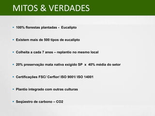 Mitos & Verdades  100% florestas plantadas -  Eucalipto 
