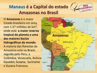 Manaus é a Capital do estado 
Amazonas no Brasil 
O Amazonas é o maior 
Estado brasileiro em área, 
com 1.57 milhões de km², 
onde está a maior reserva 
tropical do planeta e uma 
das maiores bacias 
hidrográficas do mundo. 
A maioria das florestas da 
Amazónia está no Brasil, 
seguida pelo Peru, a 
Colômbia, Venezuela, Bolívia, 
Equador, Guiana, Suriname 
e Guiana Francesa. 
 