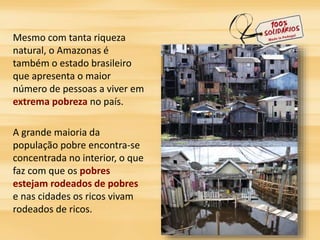 Mesmo com tanta riqueza 
natural, o Amazonas é 
também o estado brasileiro 
que apresenta o maior 
número de pessoas a viver em 
extrema pobreza no país. 
A grande maioria da 
população pobre encontra-se 
concentrada no interior, o que 
faz com que os pobres 
estejam rodeados de pobres 
e nas cidades os ricos vivam 
rodeados de ricos. 
 