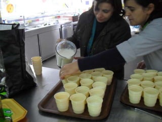 Campanhas, painéis, palestras i