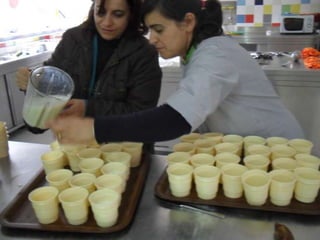 Campanhas, painéis, palestras i