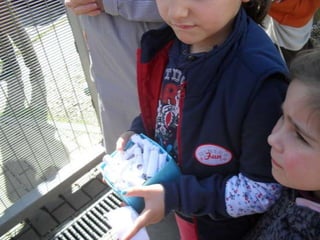 Campanhas, painéis, palestras ii