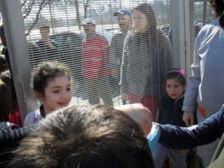 Campanhas, painéis, palestras ii