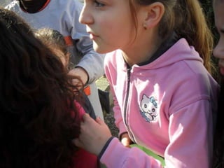 Campanhas, painéis, palestras ii