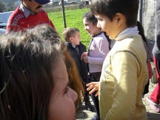 Campanhas, painéis, palestras ii