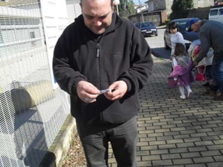 Campanhas, painéis, palestras ii