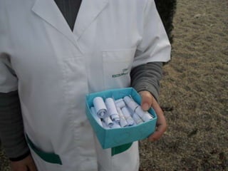 Campanhas, painéis, palestras ii