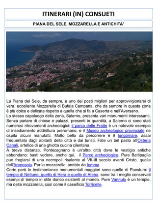 ITINERARI (IN) CONSUETI
PIANA DEL SELE, MOZZARELLA E ANTICHITA'

La Piana del Sele, da sempre, è uno dei posti migliori per approvvigionarsi di
vera, eccellente Mozzarella di Bufala Campana, che da sempre in questa zona
è più dolce e delicata rispetto a quella che si fa a Caserta e nell'Aversano.
Lo stesso capoluogo della zona, Salerno, presenta vari monumenti interessanti.
Senza parlare di chiese e palazzi, presenti in quantità, a Salerno ci sono stati
numerosi ritrovamenti archeologici: il parco delle Fratte è un notevole esempio
di insediamento addirittura preromano, e il Museo archeologico provinciale ne
ospita alcuni manufatti. Molto bello da percorrere è il lungomare, assai
frequentato dagli abitanti della città e dai turisti. Fate un bel pasto all'Osteria
Canali, artefice di una ghiotta cucina cilentana
A breve distanza, Pontecagnano è un'altra città dove le vestigia antiche
abbondano: basti vedere, anche qui, il Parco archeologico. Pure Battipaglia
può fregiarsi di una necropoli risalente al VII-III secolo avanti Cristo, quella
dell'Arenosola. Per la mozzarella, andate da Iemma.
Certo però le testimonianze monumentali maggiori sono quelle di Paestum: il
tempio di Nettuno, quello di Hera e quello di Atena, sono tra i meglio conservati
esempi di tempio in stile dorico esistenti al mondo. Pure Vannulo è un tempio,
ma della mozzarella, così come il caseificio Torricelle.

 