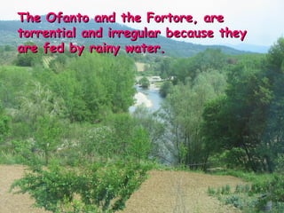 The Ofanto and the Fortore, are torrential and irregular because they are fed by rainy water. 