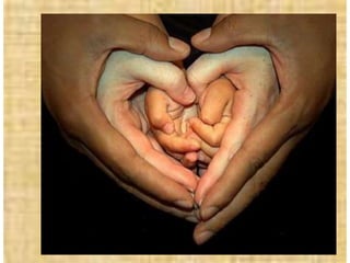 Campania combatere violemta power point 2012