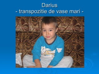 Darius - transpozitie de vase mari - 