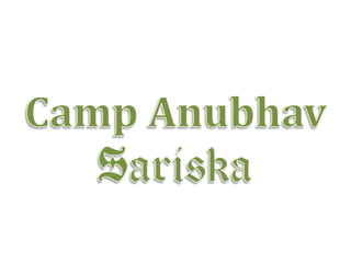 Campanubhav sariska