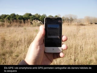 Els GPS i els smartphone amb GPS permeten cartografiar els darrers hàbitats de la cesquera 