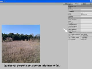 Qualsevol persona pot aportar informació útil. 