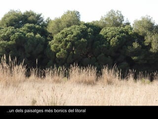 ..un dels paisatges més bonics del litoral  