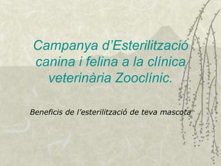 Campanya d’Esterilització
canina i felina a la clínica
  veterinària Zooclínic.

Beneficis de l’esterilització de teva mascota
 