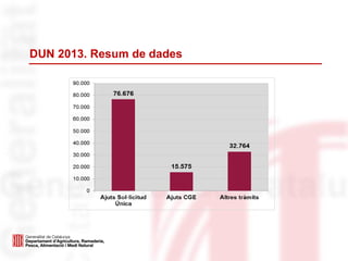 DUN 2013. Resum de dades
 