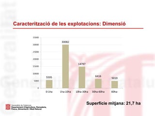 Caracterització de les explotacions: Dimensió
Superfície mitjana: 21,7 ha
 