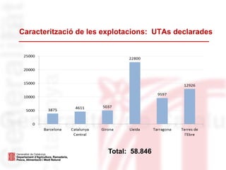 Caracterització de les explotacions: UTAs declarades
Total: 58.846
 