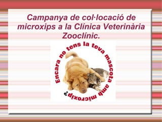 Campanya de col·locació de
microxips a la Clínica Veterinària
           Zooclínic.



              Título
 
